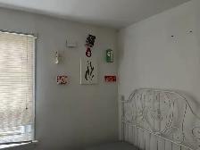 rooms for rent close to Downtown