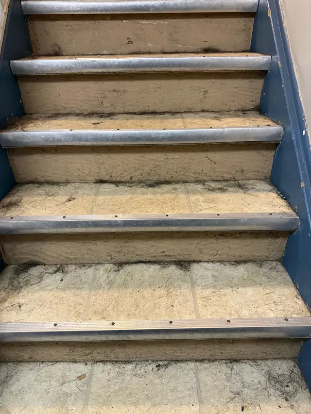 Cleaning Services - Photo 8