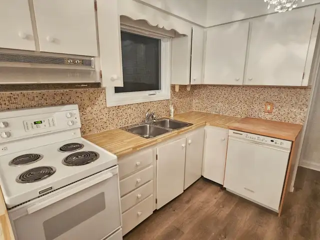 Large Furnished Bedroom (All-Female House) - Photo 3