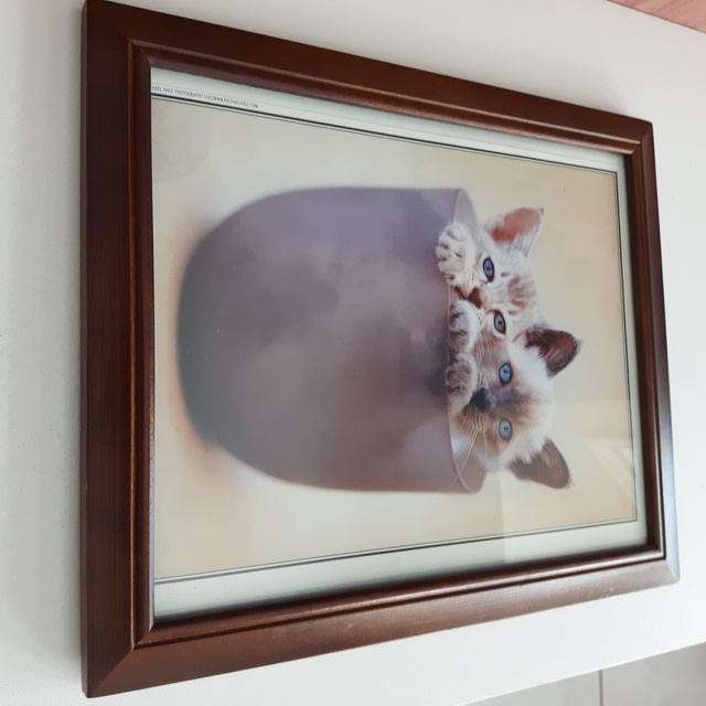 BEAUCADRE VITRÉ 10'x12'MONTRANT 2BEAUX CHATS AUXYEUX BLEUS$15.00 - Photo 3
