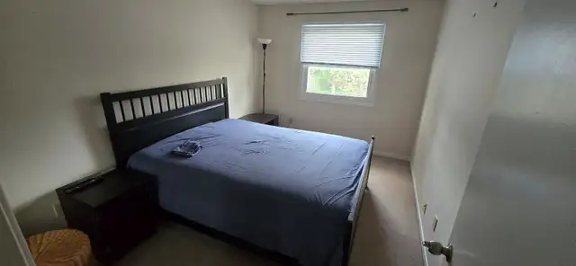 Fully Furnished 3Bedroom Single Family Home in Prime Scarborough - Photo 9