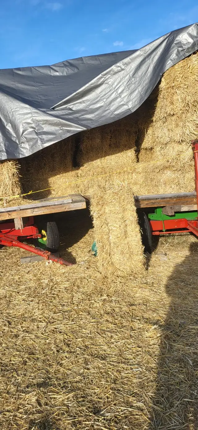 BARLEY STRAW, SMALL SQUARE BALES - Photo 2