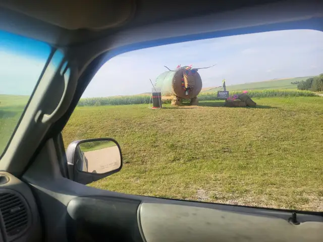 BARLEY STRAW, SMALL SQUARE BALES - Photo 3