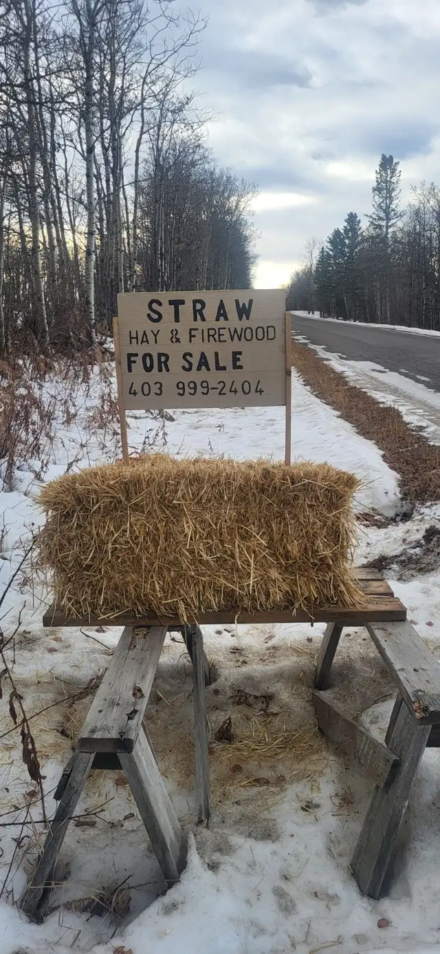 BARLEY STRAW, SMALL SQUARE BALES - Photo 4