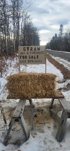 BARLEY STRAW, SMALL SQUARE BALES - Photo 4
