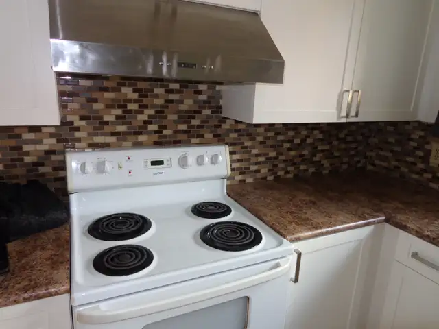 Bright, Spacious 2 Bedroom Suite – Newly Renovated – Great Locat - Photo 4