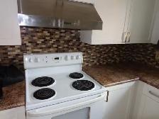 Bright, Spacious 2 Bedroom Suite – Newly Renovated – Great Locat - Photo 4