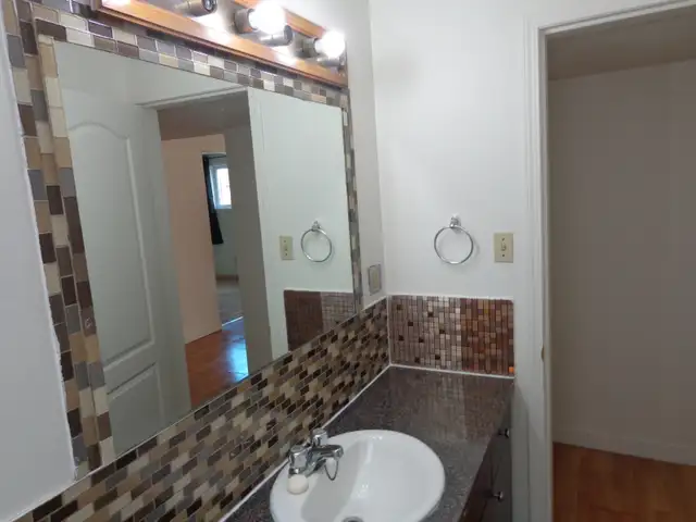 Bright, Spacious 2 Bedroom Suite – Newly Renovated – Great Locat - Photo 5