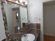 Bright, Spacious 2 Bedroom Suite – Newly Renovated – Great Locat - Photo 5