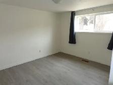 Bright, Spacious 2 Bedroom Suite – Newly Renovated – Great Locat - Photo 8