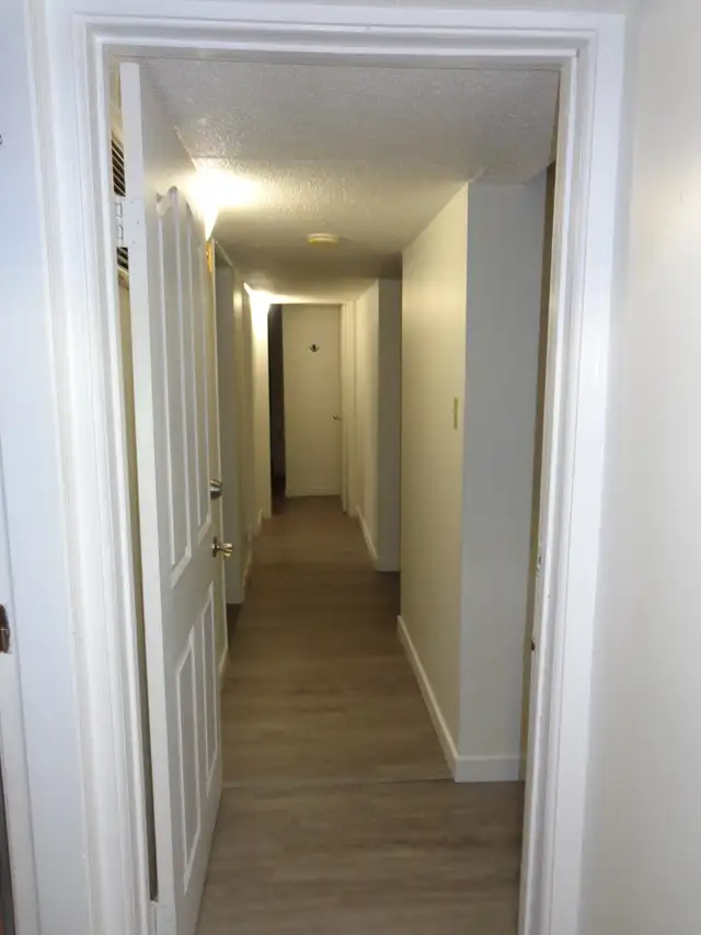 Bright, Spacious 2 Bedroom Suite – Newly Renovated – Great Locat - Photo 10