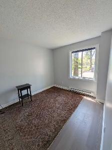 Room for rent / chambre à louer , Gatineau/Hull