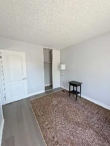Room for rent / chambre à louer , Gatineau/Hull - Photo 2