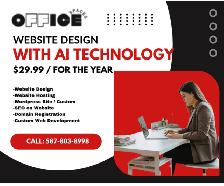 Website Design / Hosting $9.99 / year