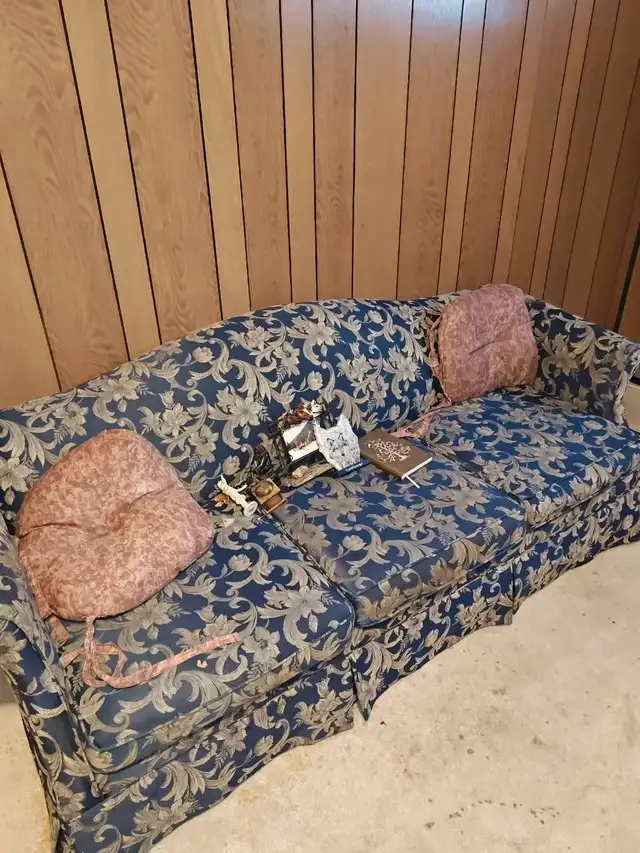 free couch doggie