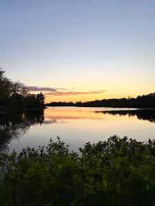 ROOMS FOR RENT BRAMPTON
