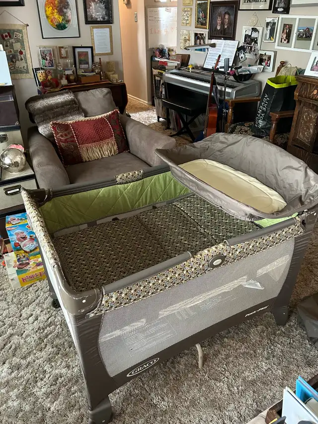 Graco Pack and Play - Photo 2