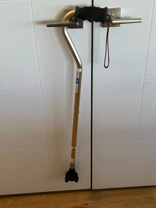 Walking Cane