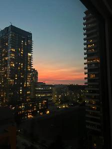 Modern 1 Bedroom Condo Near Yonge & Eglinton