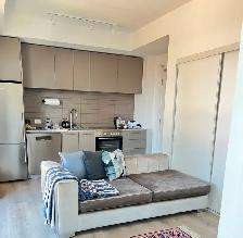 Modern 1 Bedroom Condo Near Yonge & Eglinton - Photo 5