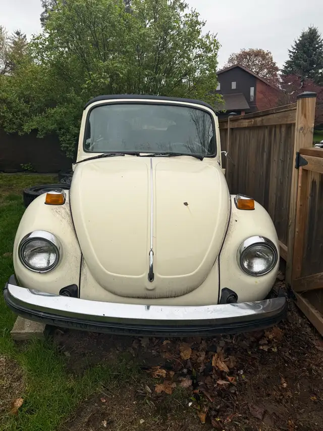 1979 Volkswagen Superbeetle