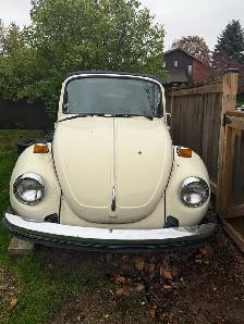1979 Volkswagen Superbeetle