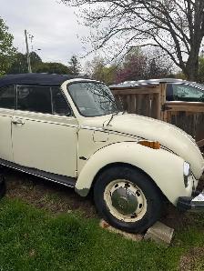 1979 Volkswagen Superbeetle - Photo 2