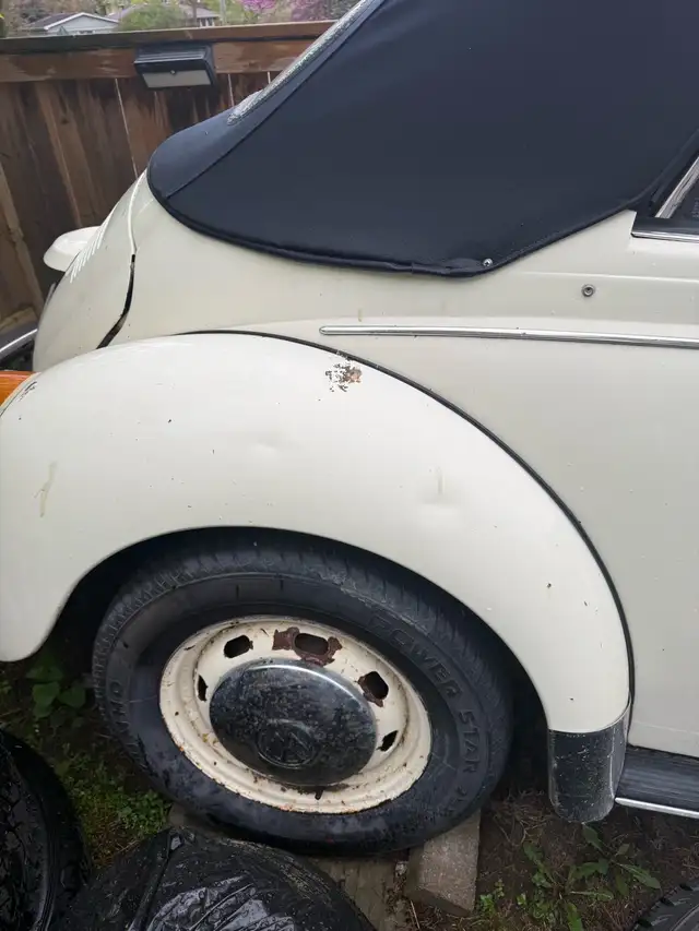 1979 Volkswagen Superbeetle - Photo 3