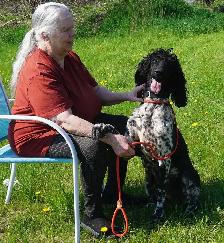 Oh Golly Miss Molly! - Standard Poodle