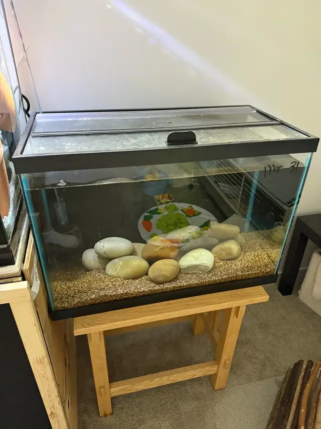 20 gallon fish tank