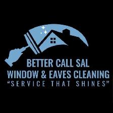 Better Call Sal Window & Eaves cleaning