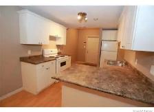 1 Bedroom 1 bathroom Basement Suite - Photo 10