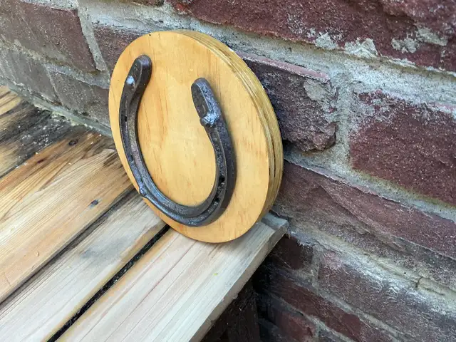 Antique Horse Shoe on Wood Plaque ! - Photo 5