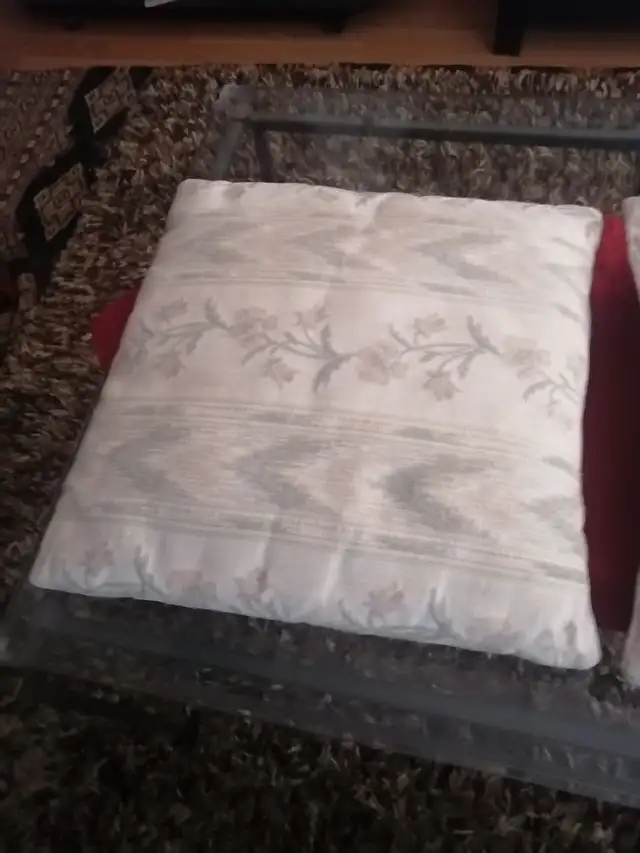 Small couch pillows $5 each - Photo 3