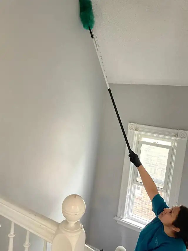 Cleaners office cleaning house cleaners maid 6473709534 - Photo 2