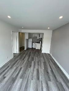 3 1/2 Apt LIBRE Visite entre 11:00 et 3:00 TOUT LES JOURS - Photo 6