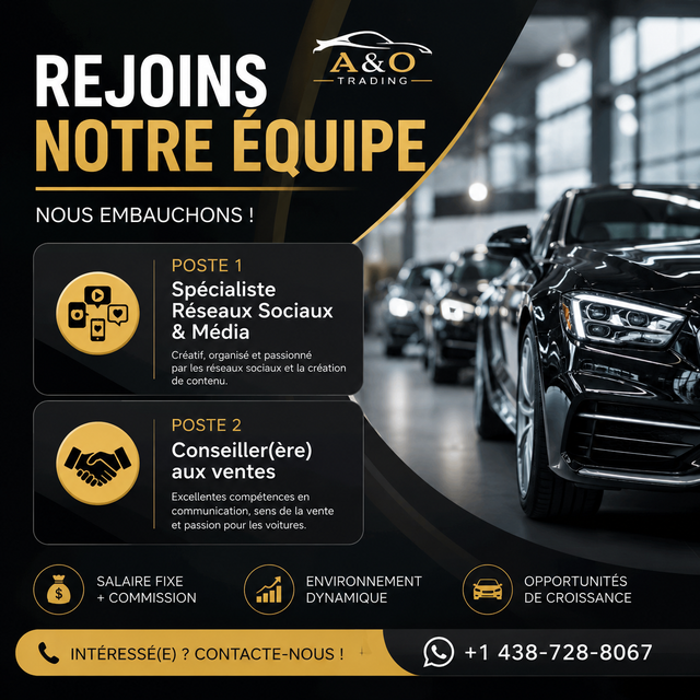 Spécialiste Réseaux Sociaux & Média