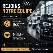 Spécialiste Réseaux Sociaux & Média