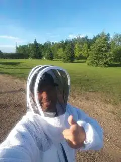 Pest control: Wasp, Hornet and Honeybee removal service