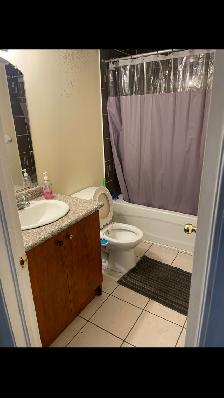 2 Bedroom Basement for rent in Brampton
