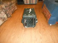 Pet carrier measures 19 inX13inX11in - Photo 2