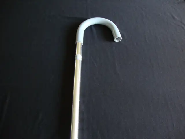 Walking Cane