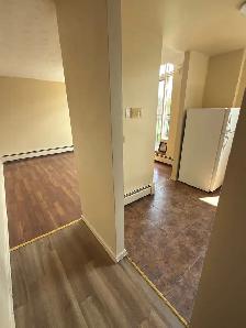 Cute & Cozy All Inclusive 1 Bdrm Apt Available June 1st - Photo 5