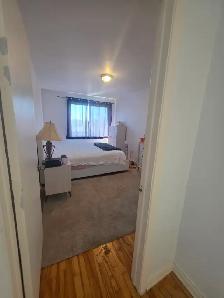 Grand 5½ lumineux à Laval | 3 grandes chambres | Disponible main - Photo 4