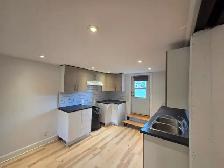 Grand studio rénové  – Hydro   électros inclus – Rosemont - Photo 6