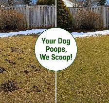 Winnipeg Dog Poop Cleanup | One-Time & Recurring Service