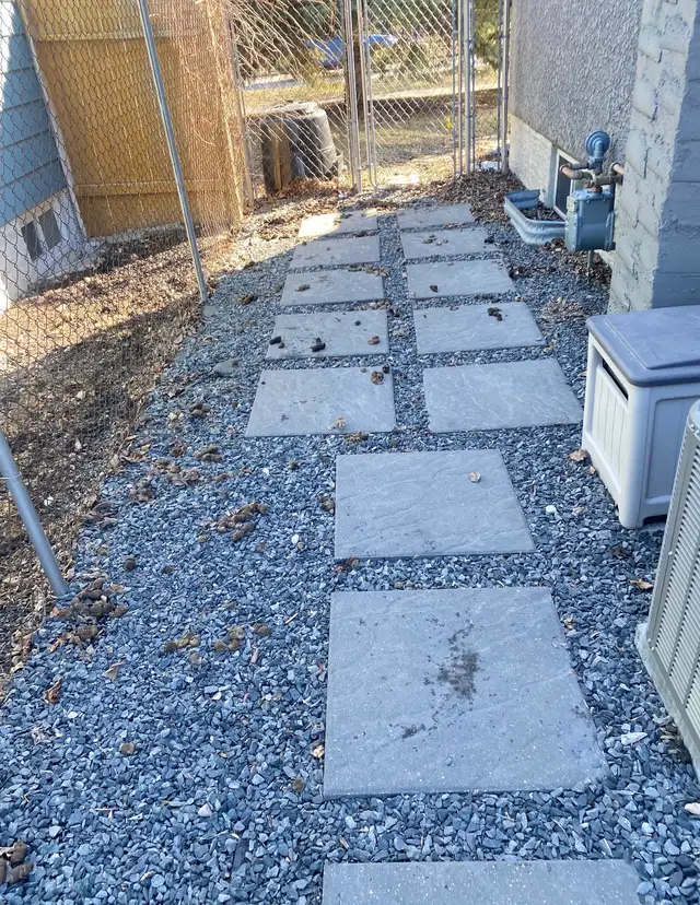 Winnipeg Dog Poop Cleanup | One-Time & Recurring Service - Photo 2