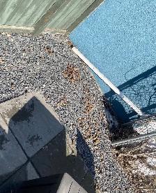 Winnipeg Dog Poop Cleanup | One-Time & Recurring Service - Photo 4