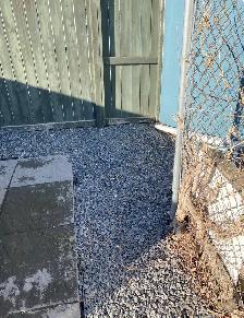 Winnipeg Dog Poop Cleanup | One-Time & Recurring Service - Photo 5
