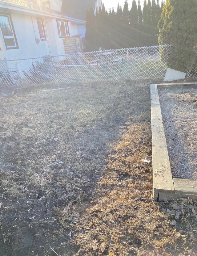 Winnipeg Dog Poop Cleanup | One-Time & Recurring Service - Photo 7